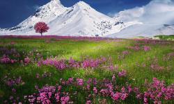 Featured image of post 美景